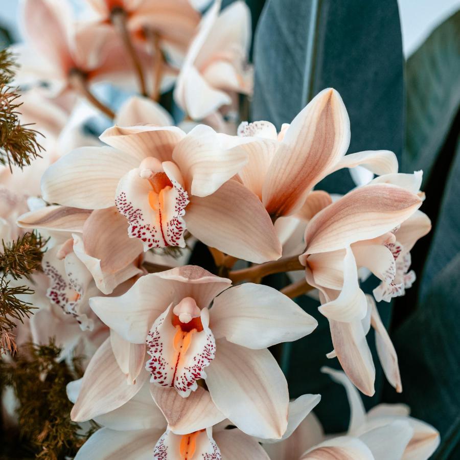 Villa Orchid Garden Riverside Hội An Ngoại thất bức ảnh